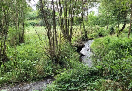 Weiherbach, © Tourist-Information Islek
