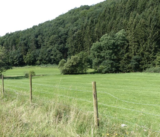 Meadows and wooded slopes near Irrhausen, © Tourist-Information Islek