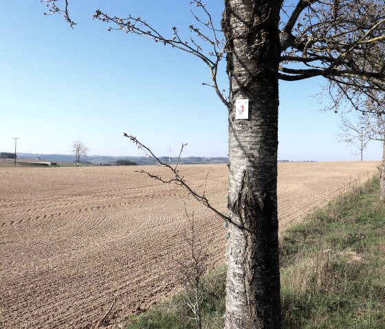 Wandelroute 1, © Tourist-Info Islek