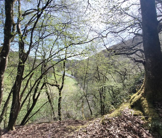 Pfad oberhalb der Prüm, © Tourist-Information Islek