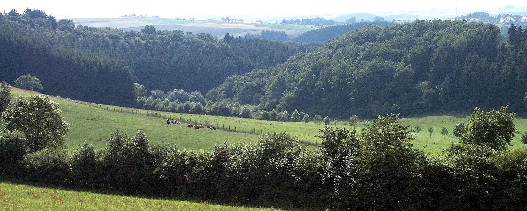 Blick auf Dahnen, &copy; V. Teuschler
