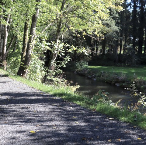 Komfortweg Waxweiler, © Tourist-Information Islek