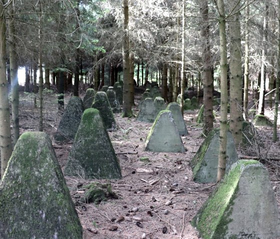 Deel van de bultlijn bij Großkampenberg, © Tourist-Information Islek