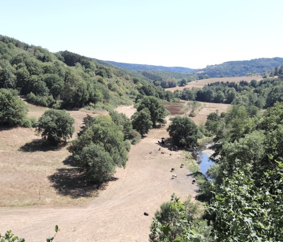 View from the viewing platform over the Pr&uuml;mtal valley, &copy; Tourist-Information Islek