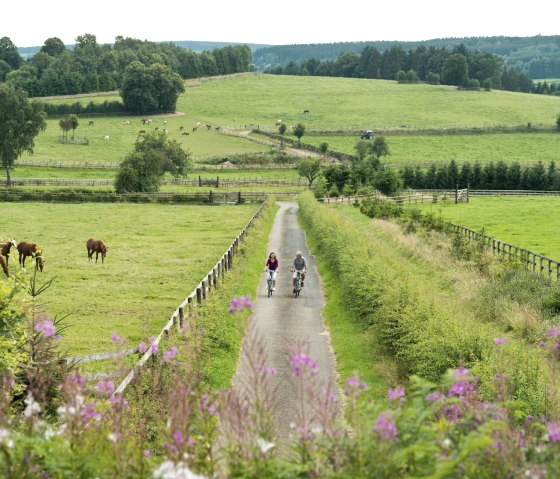Twee fietsers op een smal pad door groene weiden met paarden, omringd door glooiende heuvels en bomen., © vennbahn.eu