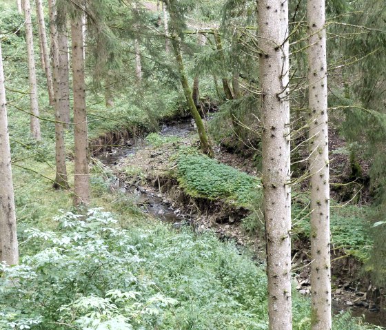 Dierbach, &copy; Tourist-Information Islek