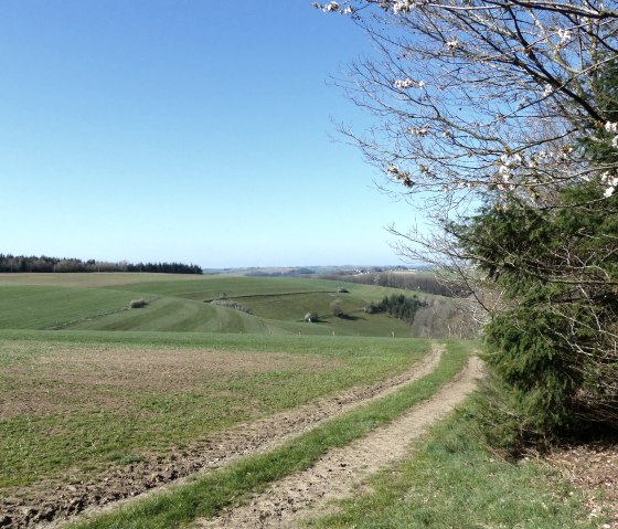 Wandelroute nr. 18, © Tourist-Information Islek