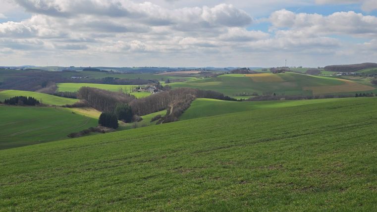Een uitgestrekt groen landschap met zachte heuvels en enkele bomen. De lucht is bewolkt en er zijn kleine landelijke nederzettingen in de verte.