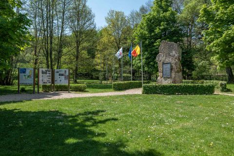 Ein schöner Park mit grüner Wiese und Bäumen. Im Hintergrund sind Informationsschilder und Flaggen zu sehen.
