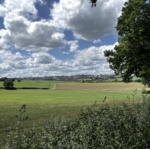 Grüne Felder und Bäume unter einem bewölkten Himmel, im Hintergrund eine Stadtansicht. Die Szene wirkt ruhig und idyllisch., © TI Bitburger Land