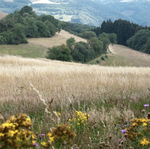 Experience close to nature near Pl&uuml;tscheid, &copy; Volker Teuschler