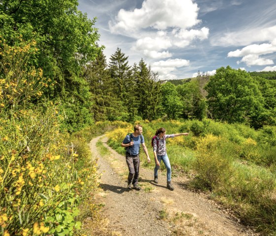 Two hikers on a path in a green landscape with yellow flowers and trees under a blue sky., © Eifel Tourismus GmbH, Dominik Ketz