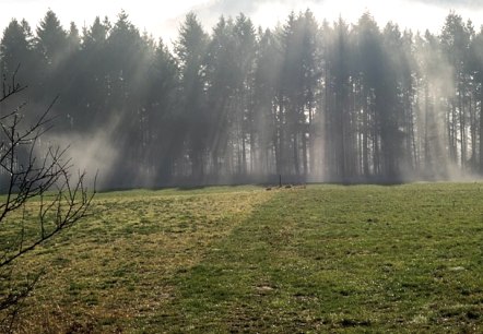 Morning fog near Reiff