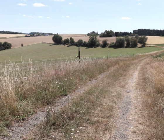 Hiking trail no. 90 near Krautscheid, © Tourist-Information Islek