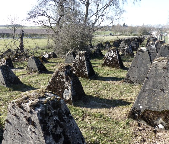 Westwall-Wanderweg H&ouml;ckerlinie, &copy; Tourist-Info Islek