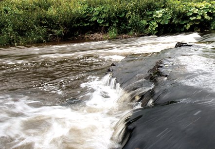 Ein kleiner Wasserfall in einem Fluss, umgeben von dichter Vegetation und Bäumen am Ufer., © Naturpark Südeifel, R. Clement