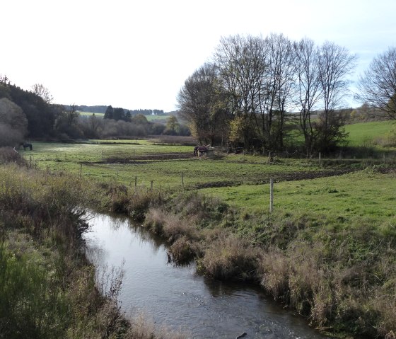 P1110532, &copy; Tourist-Information Islek