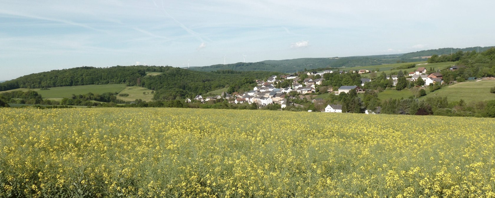 Fernsicht, © TI Trier Land
