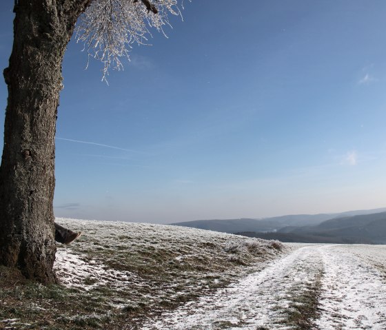 Winter am Hövel, © Rursee-Touristik GmbH, Sabine Herfort