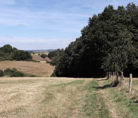 Hiking trail no. 86 in the direction of Lauperath, © TI Islek