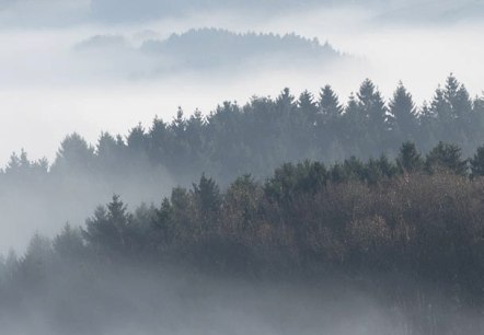 Blick &uuml;bers Irsental