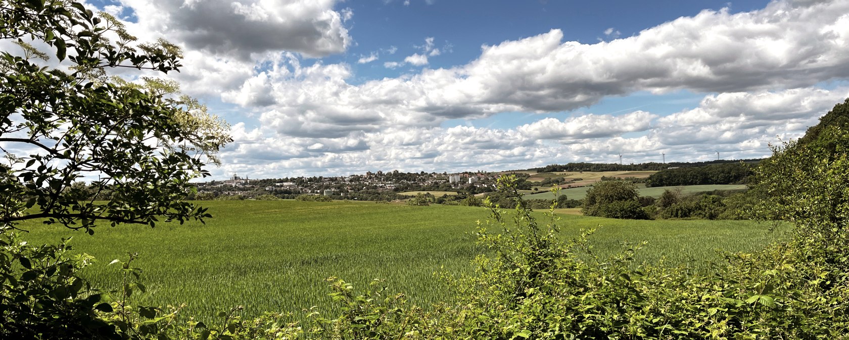 Gr&uuml;ne Felder und B&uuml;sche unter einem bew&ouml;lkten Himmel, im Hintergrund eine Stadtlandschaft. Blick von der RWE-Route., &copy; TI Bitburger Land