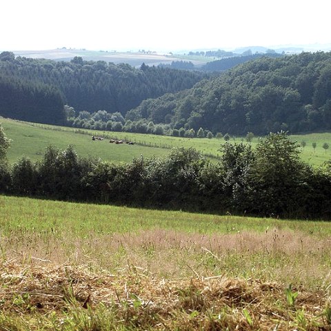 Uitzicht op Dahnen, © V. Teuschler