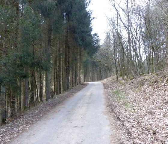 Waldweg, &copy; Tourist-Information Islek