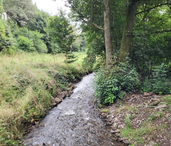 Weiherbach, &copy; Tourist-Information Islek