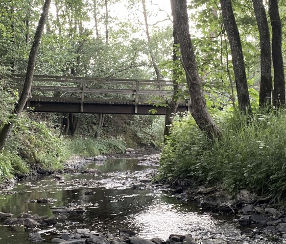 Zuschnitt IMG_7899, &copy; Ingo Kleis