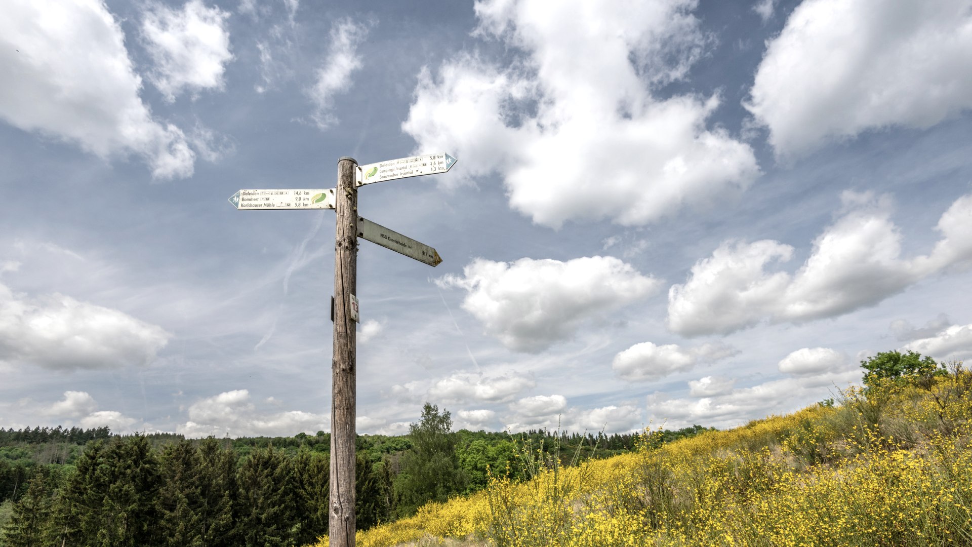 Wegweiser NaturWanderPark delux, &copy; Eifel Tourismus GmbH, Dominik Ketz