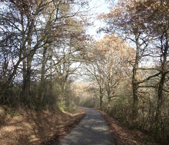 Prüm cycle path between Heilhauser Mühle and Waxweiler, © Tourist-Information Islek